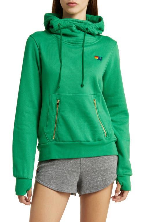 Ninja Hoodie Aviator Nation Product Image