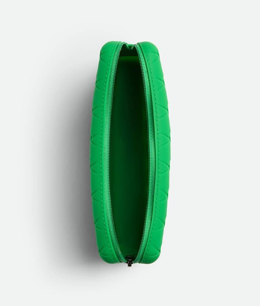 Men's Zipped Pouch in Parakeet Product Image