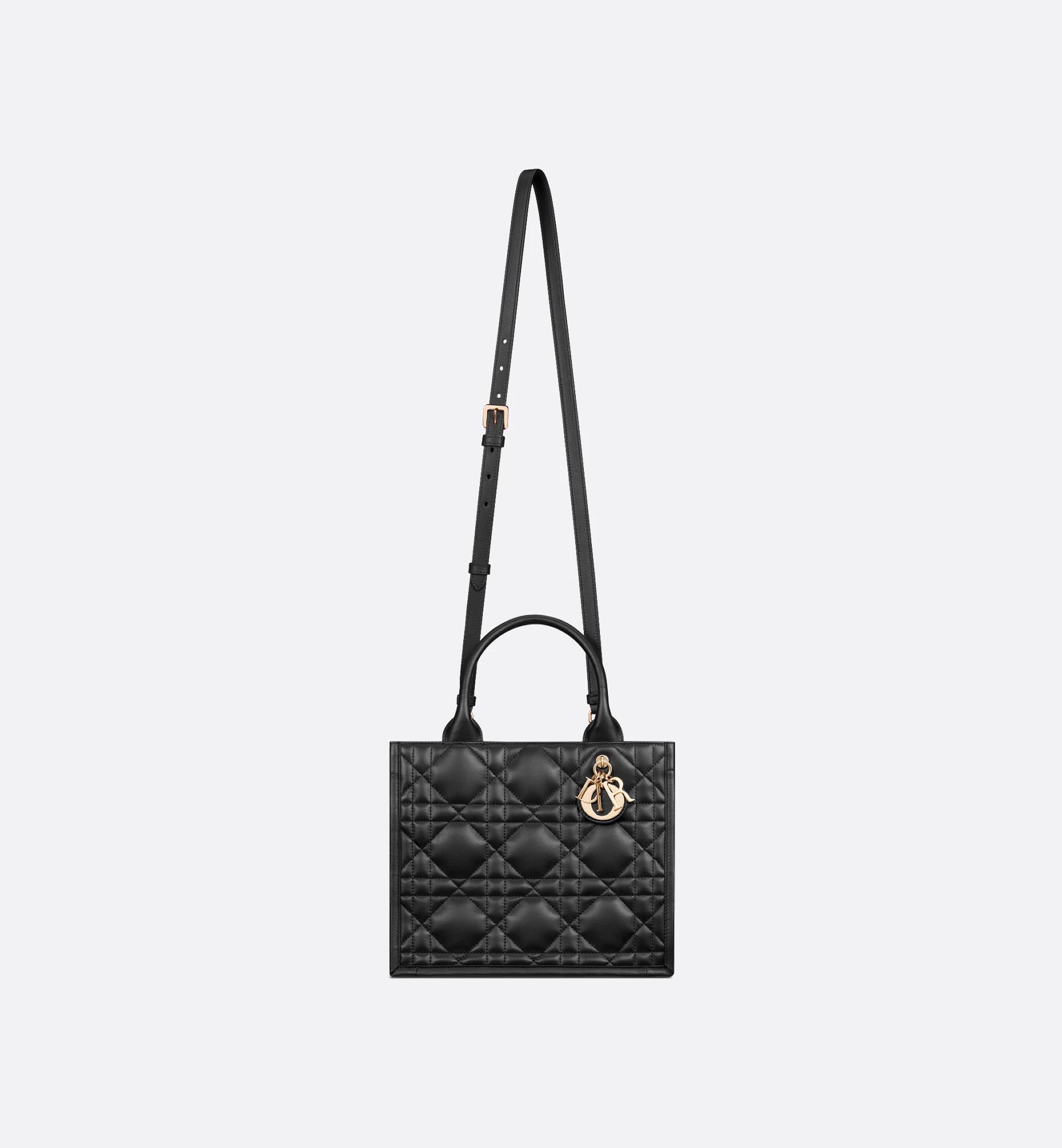 Small Dior Book Tote Product Image