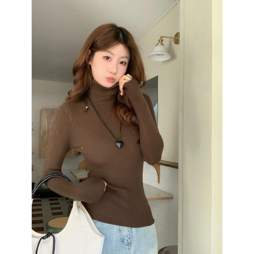 Long-Sleeve Turtleneck Plain Slim Fit Knit Top Product Image