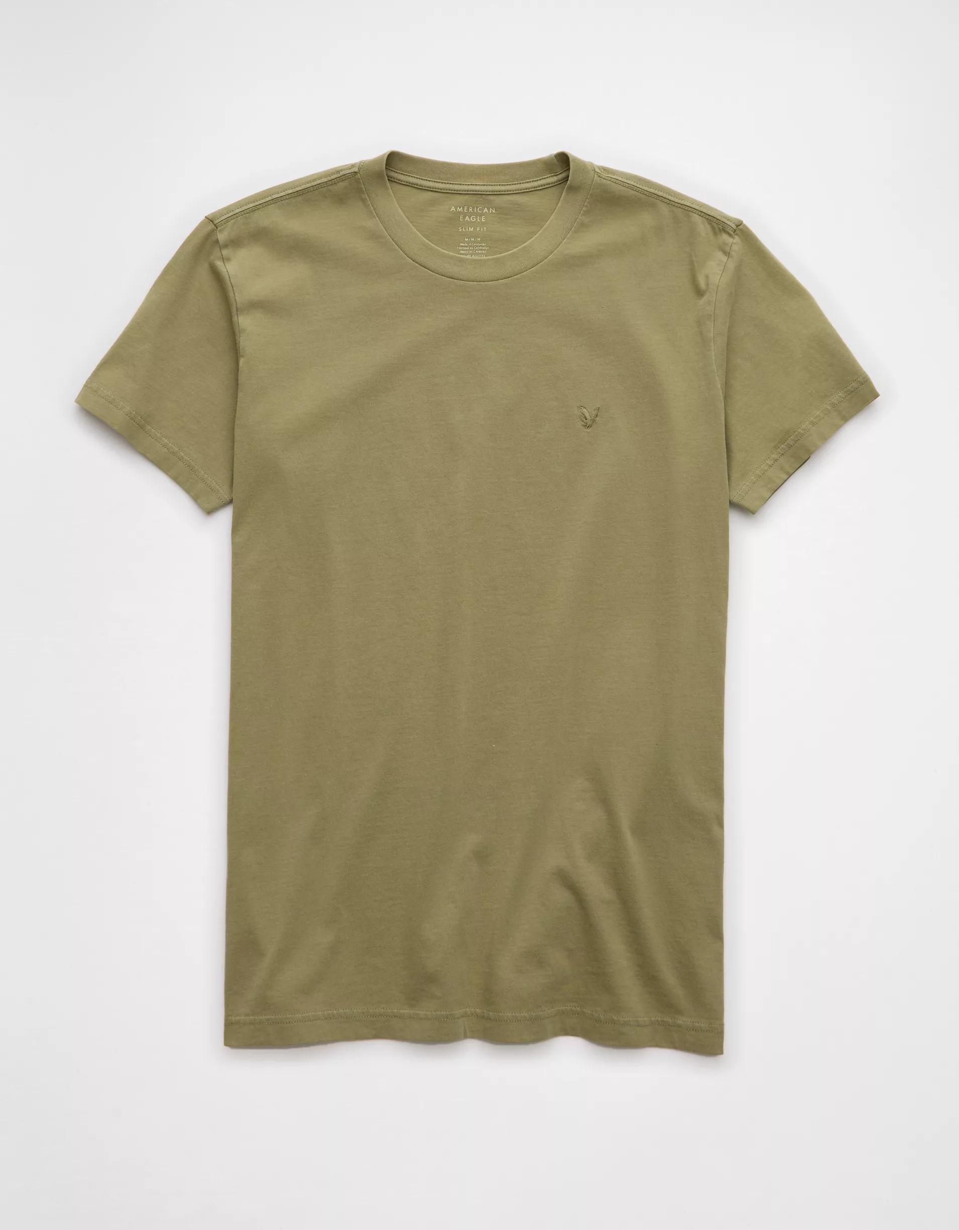 AE Lived-In Slim T-Shirt Product Image