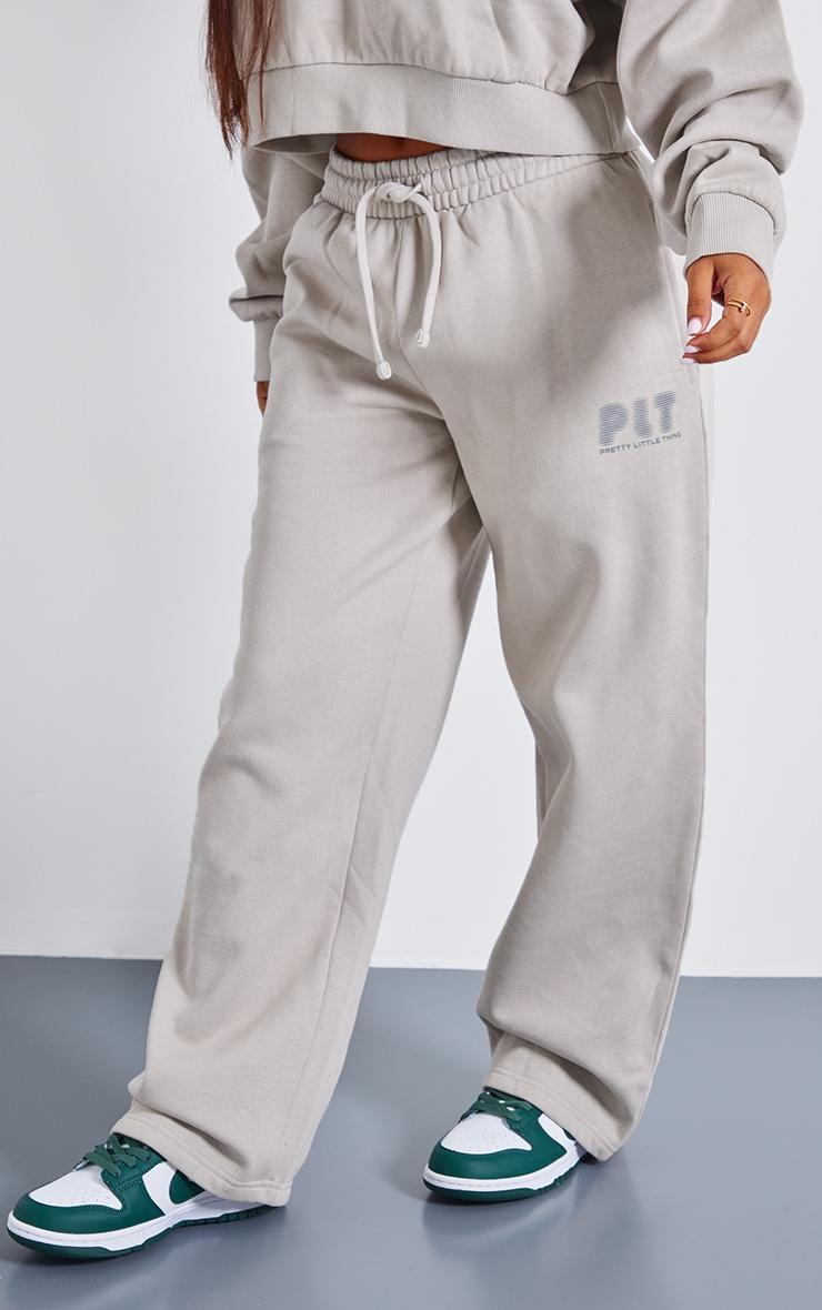 Petite  Premium Stone Printed Straight Leg Sweatpants Product Image