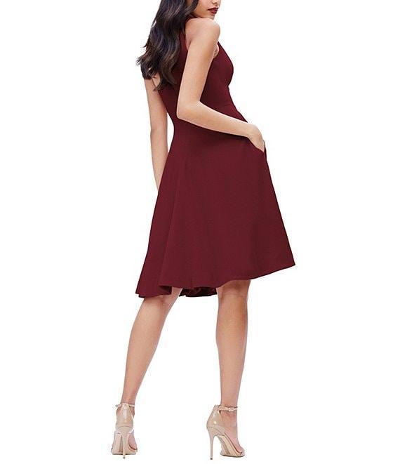 Dress the Population Catalina Crepe V-Neck Sleeveless A-Line Dress Product Image