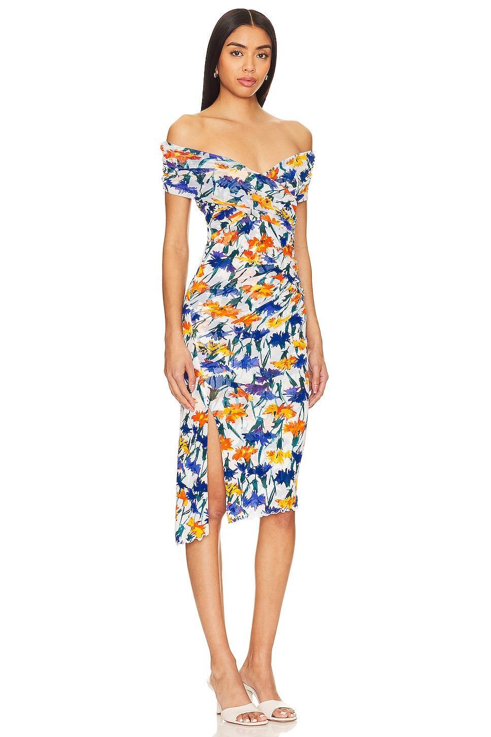 Lovinia Dress Diane von Furstenberg Product Image