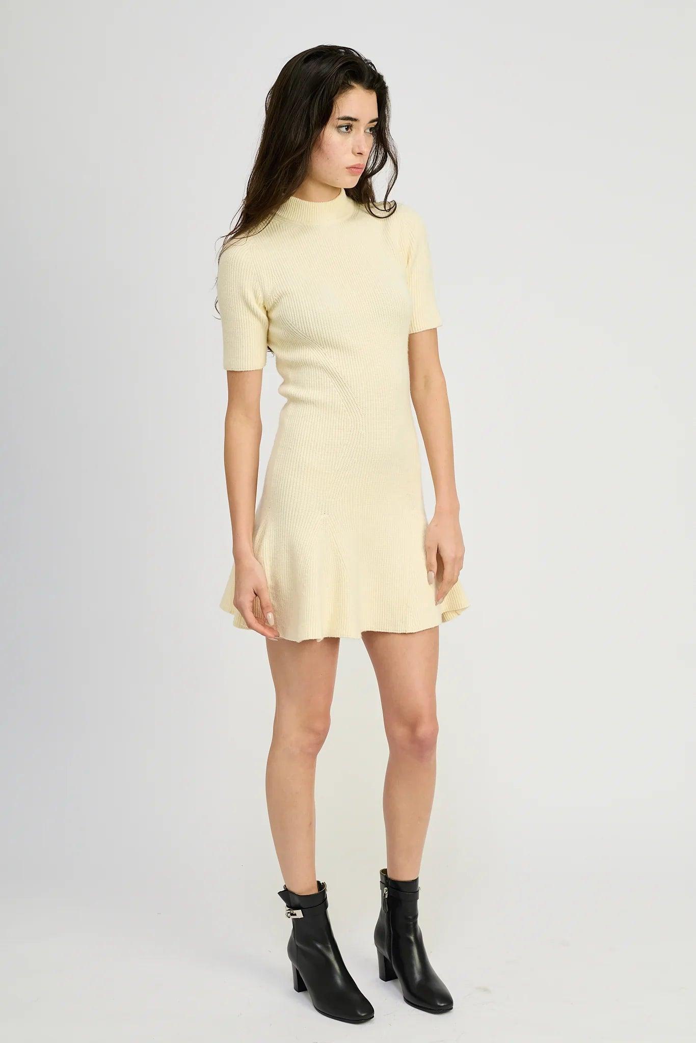 Alina Mini Dress Product Image