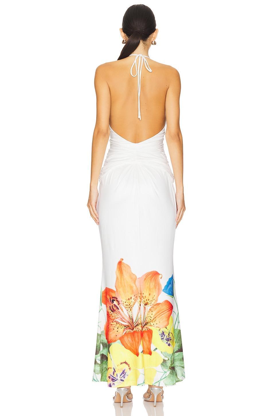 Primrose Maxi Dress Runaway The Label Product Image