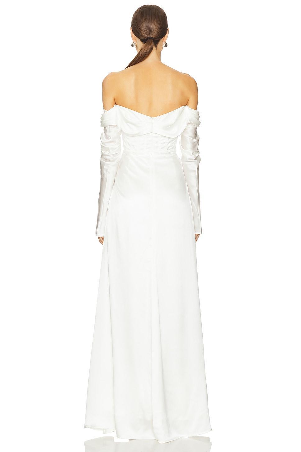 Lucien Sleeve Gown Rachel Gilbert Product Image