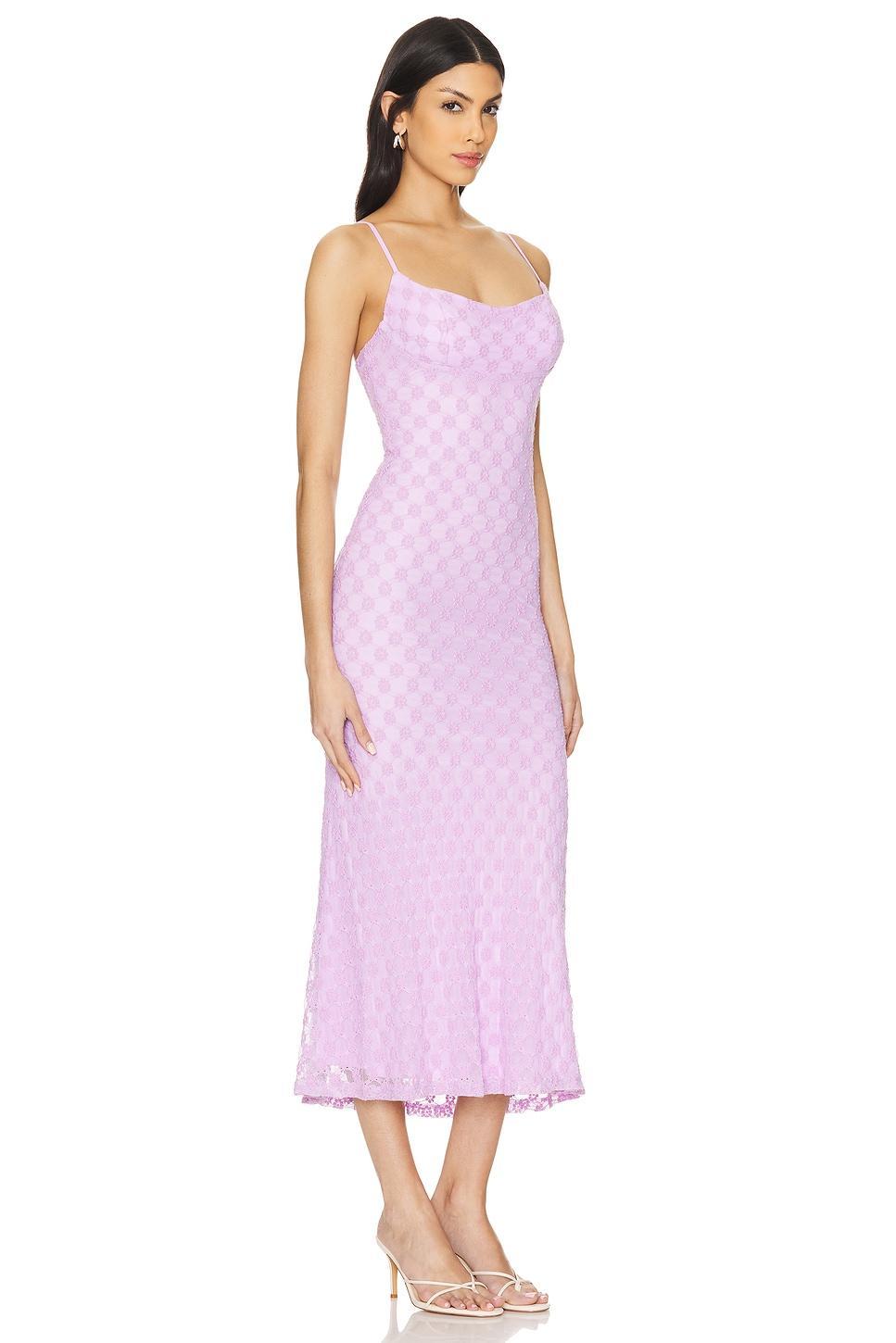 Adoni Mesh Midi Dress Product Image