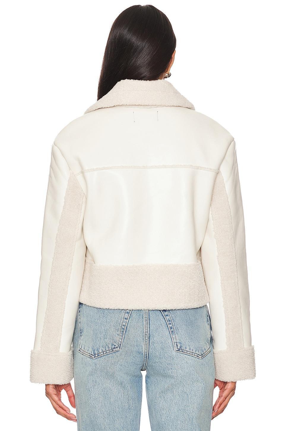 Athen Jacket Steve Madden Product Image