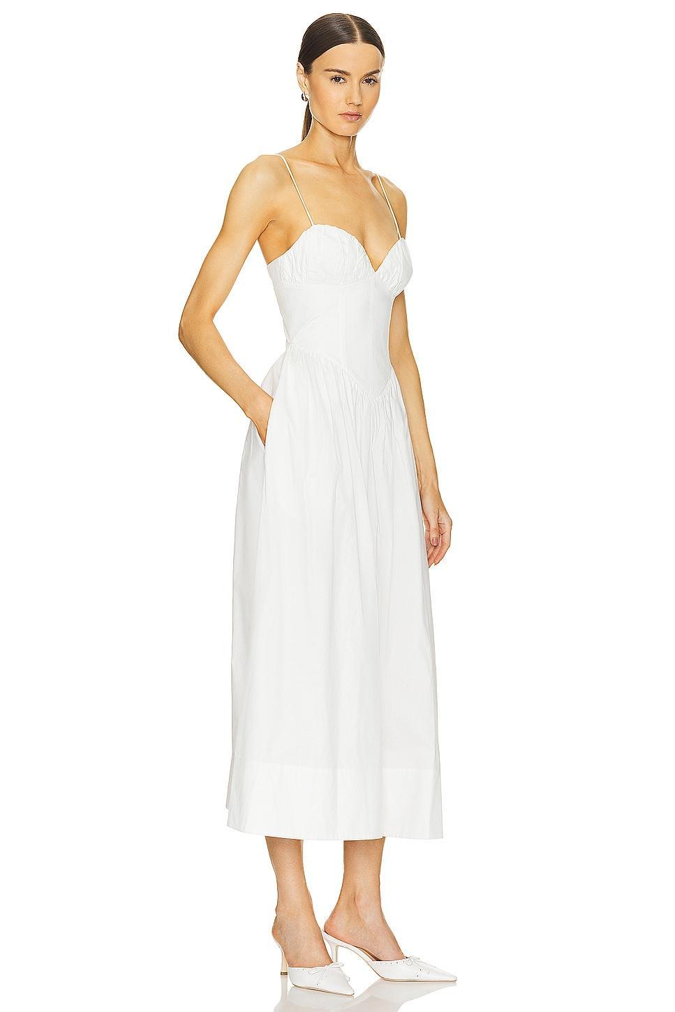 Carmine Dress Ronny Kobo Product Image