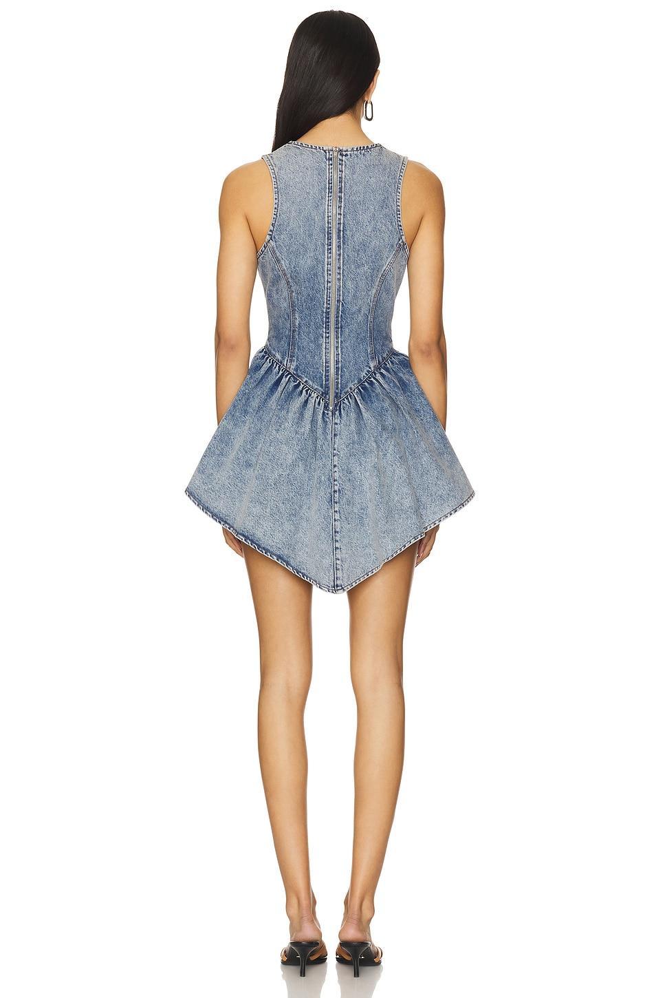 Fit And Flare Mini Dress fleur du mal Product Image