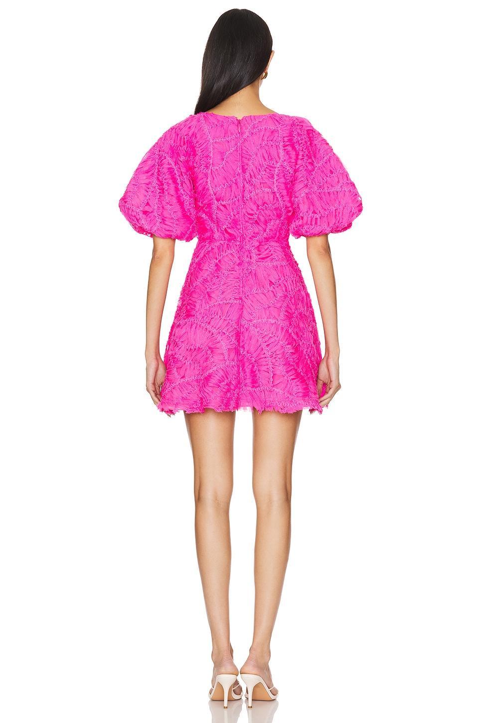 Florential Mini Swing Dress Aje Product Image