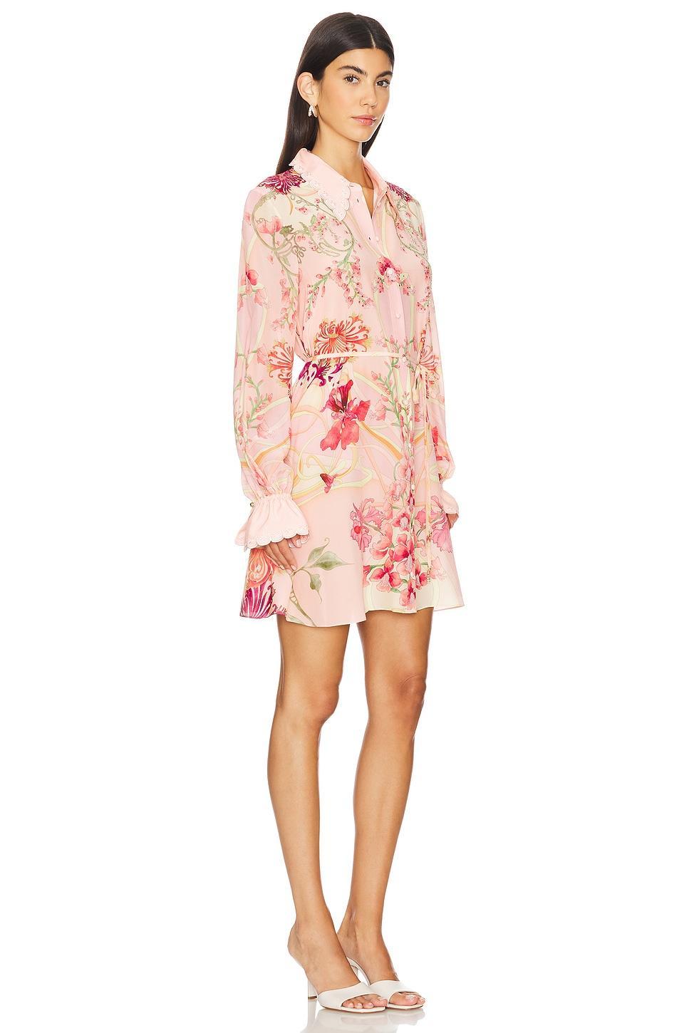 Shift Shirt Dress Product Image