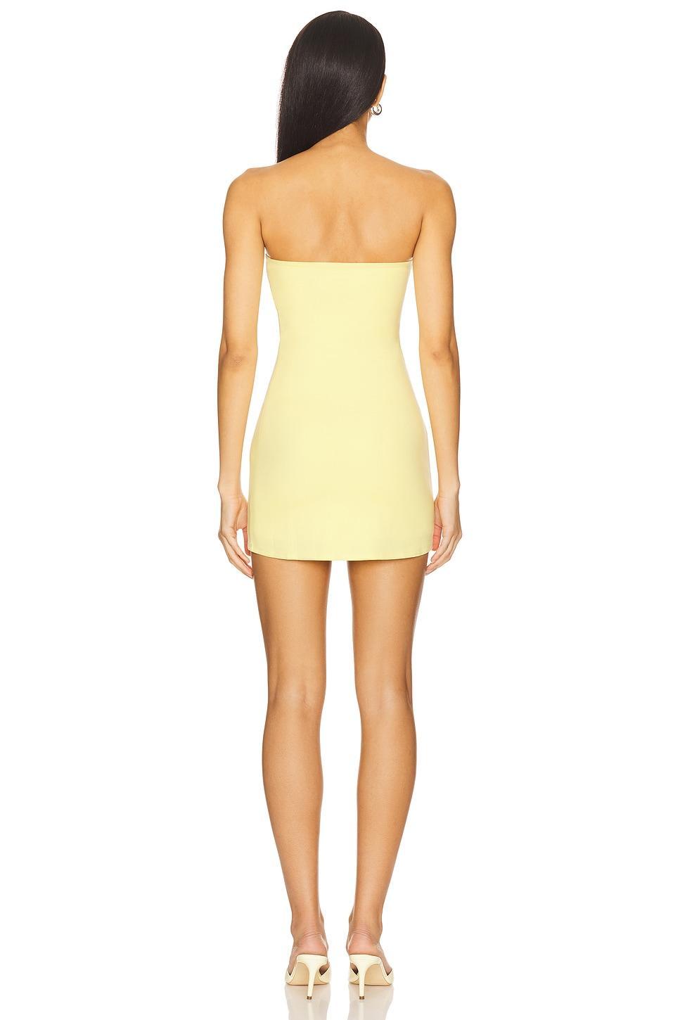 Drew Mini Dress Lovers and Friends Product Image