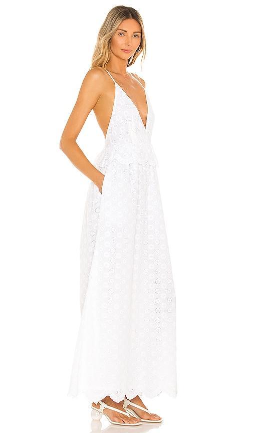 Brier Embroidered Dress Tularosa Product Image