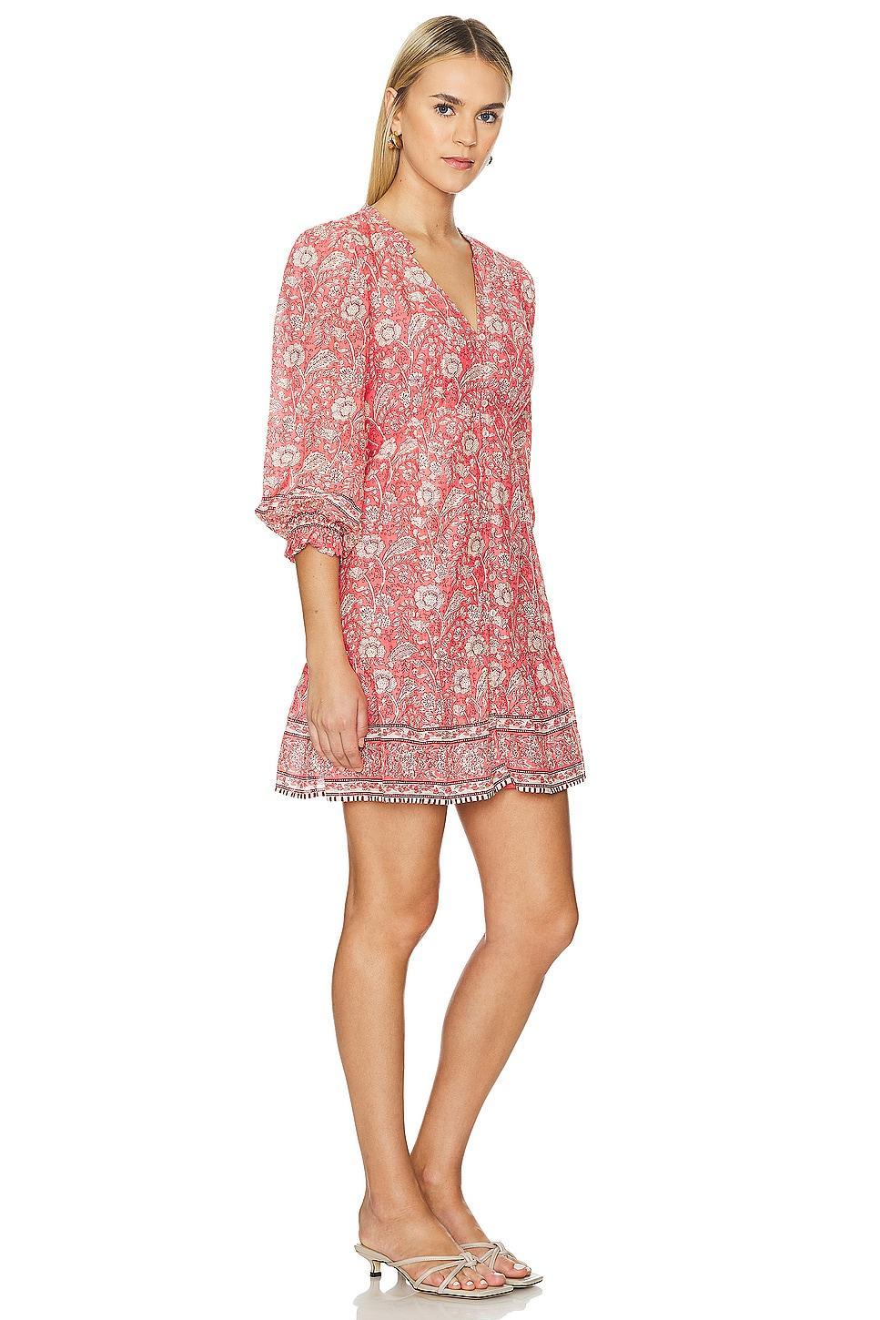 Mary Mini Dress Velvet by Graham & Spencer Product Image