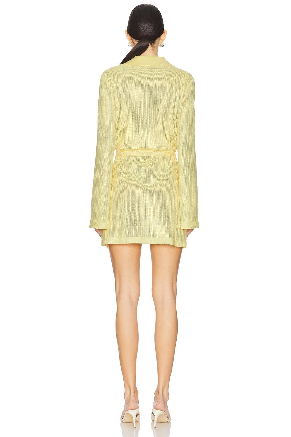 Tammie Long Sleeve Mini Dress SIMKHAI Product Image