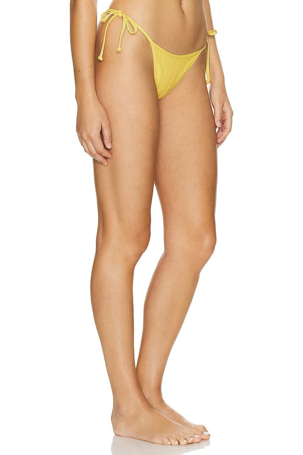 Levy Sunrise Seashell Bottom LSPACE Product Image