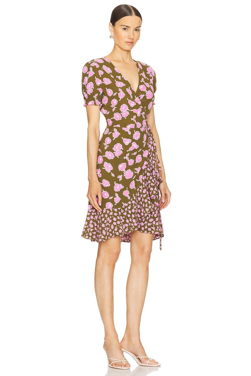 Emilia Mini Dress Diane von Furstenberg Product Image