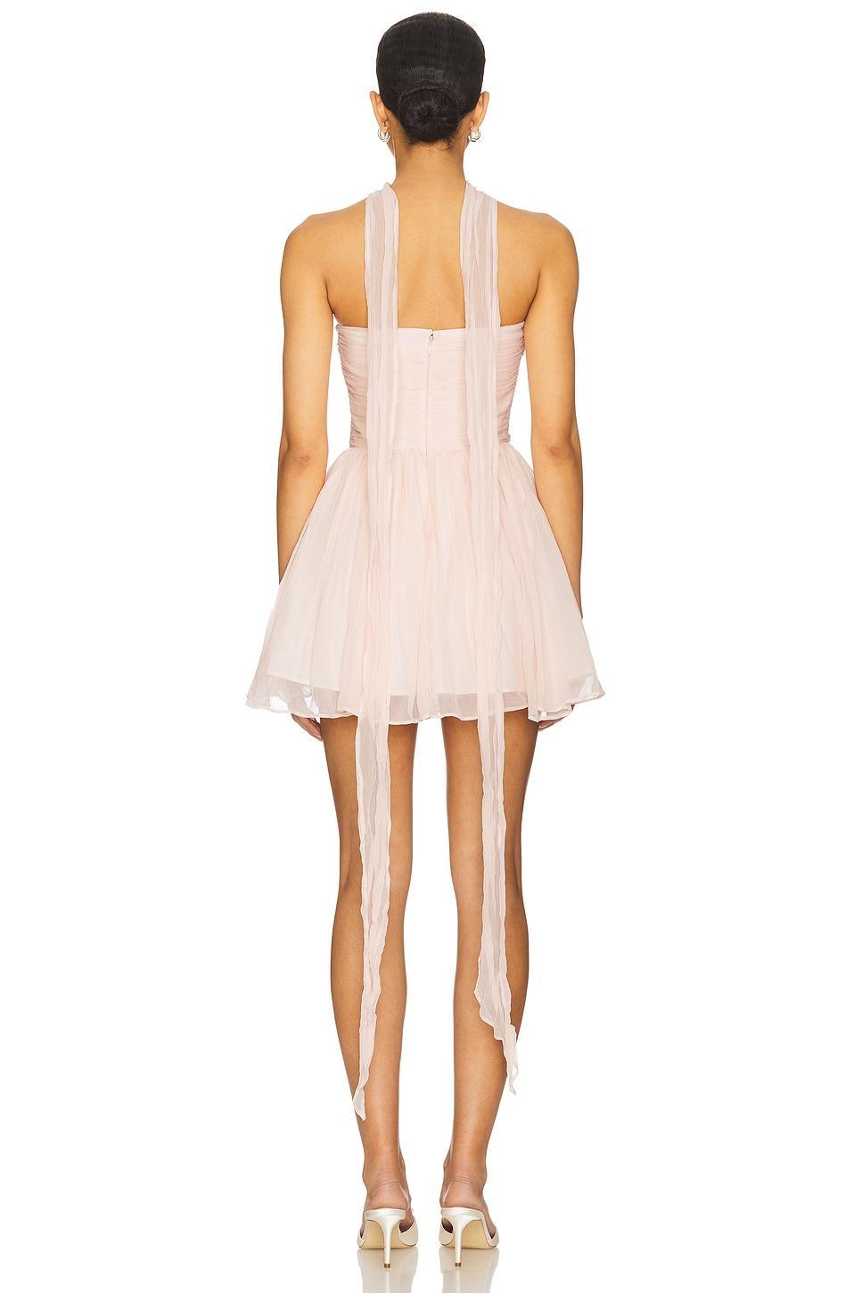 Kalina Mini Dress LPA Product Image