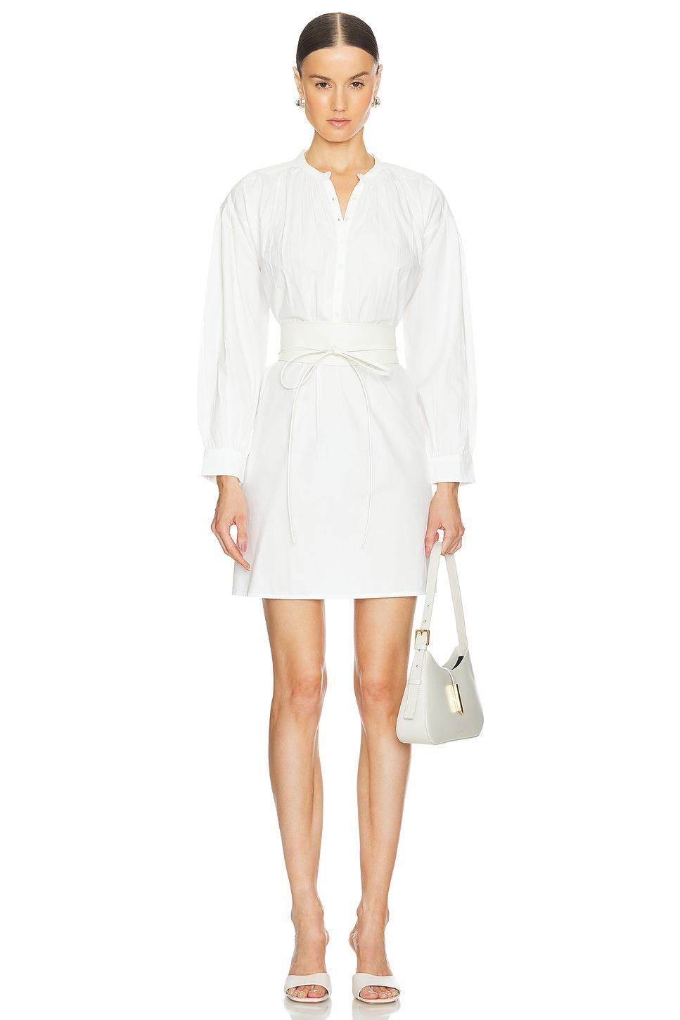 Najam Short Dress NILI LOTAN Product Image