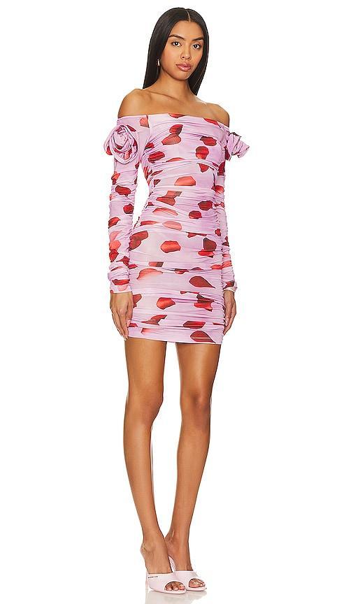 Erika Dress Mirae Product Image