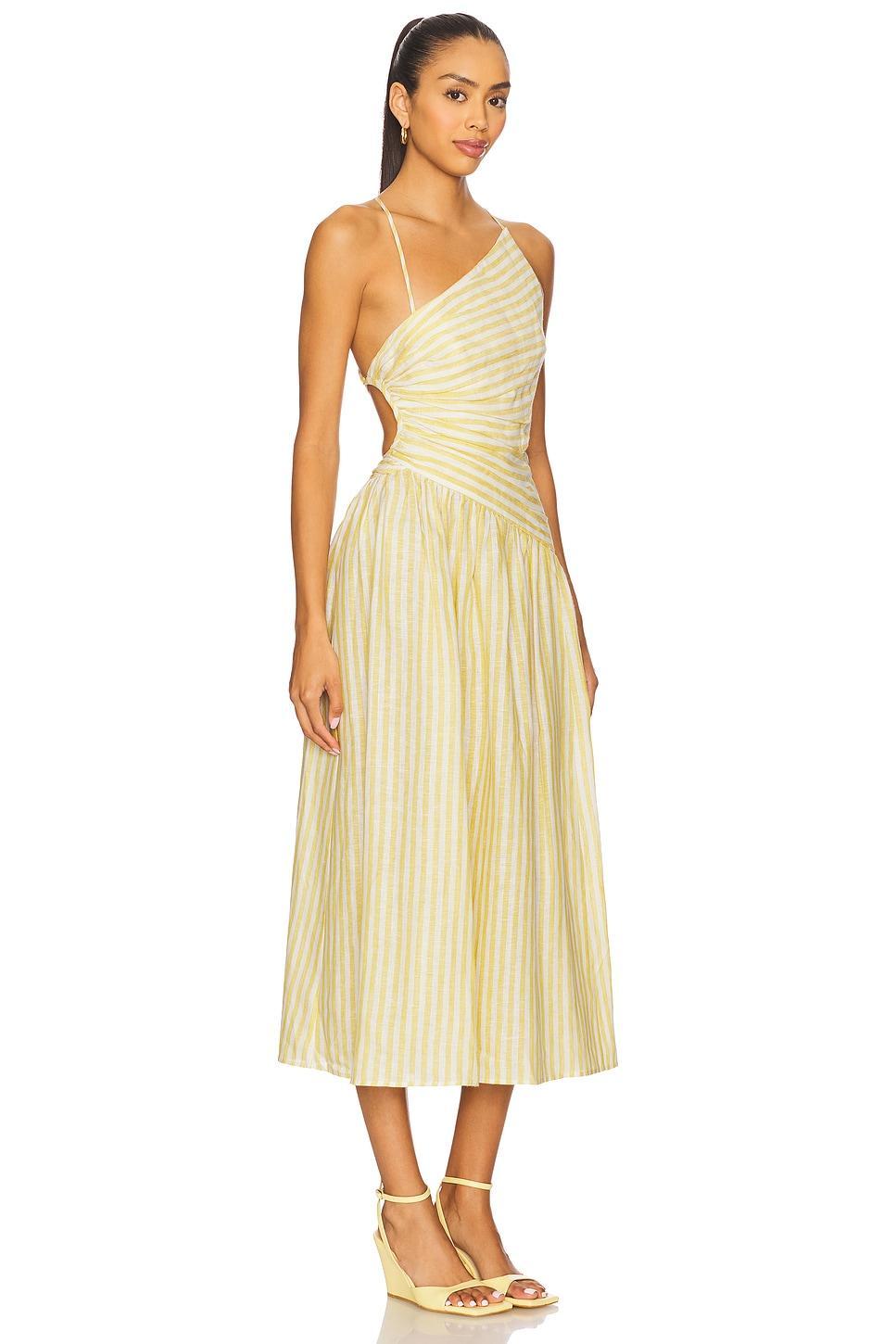 Cascadian Asymmetric Dress Zimmermann Product Image
