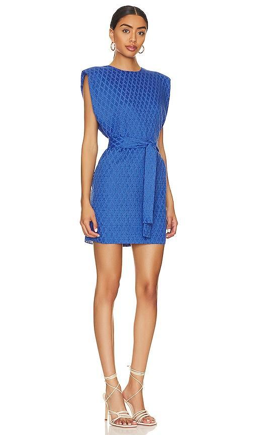 Kenwood Dress Amanda Uprichard Product Image