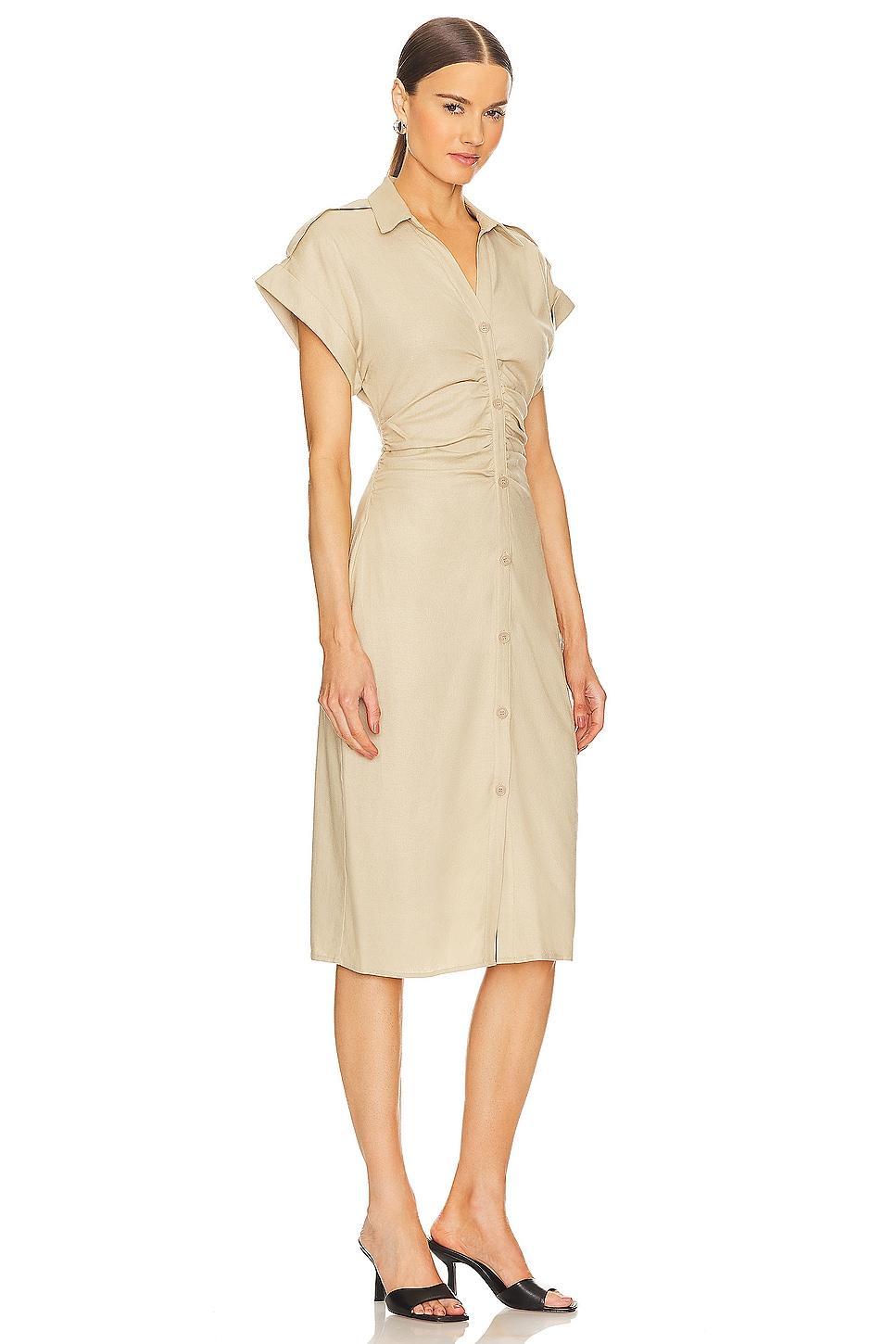 Cambrie Dress Steve Madden Product Image