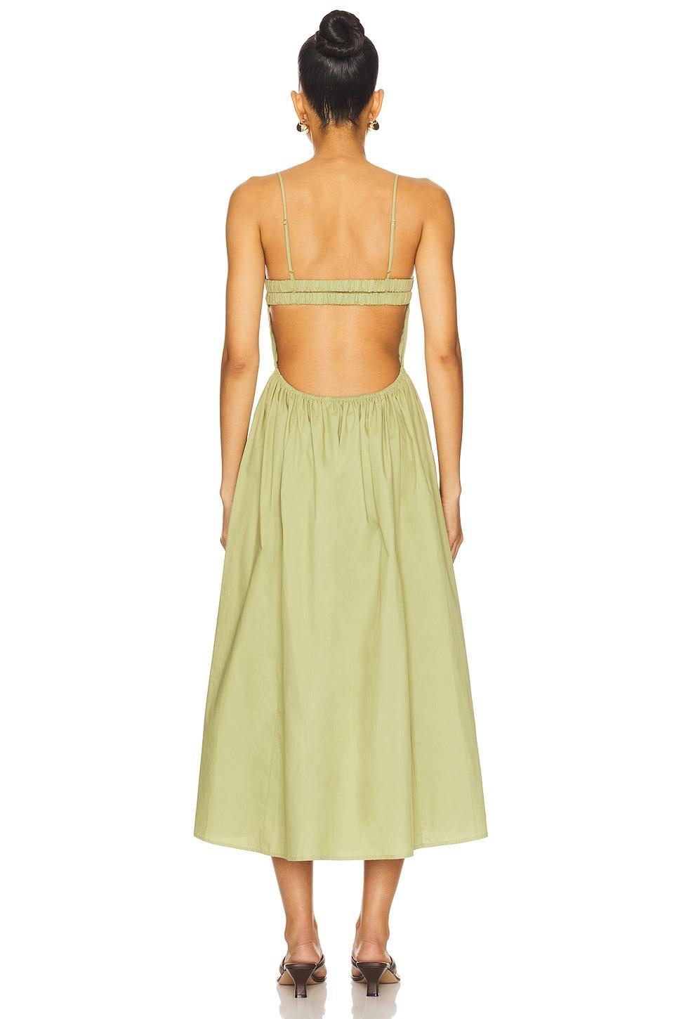 Destene Dress NIA Product Image