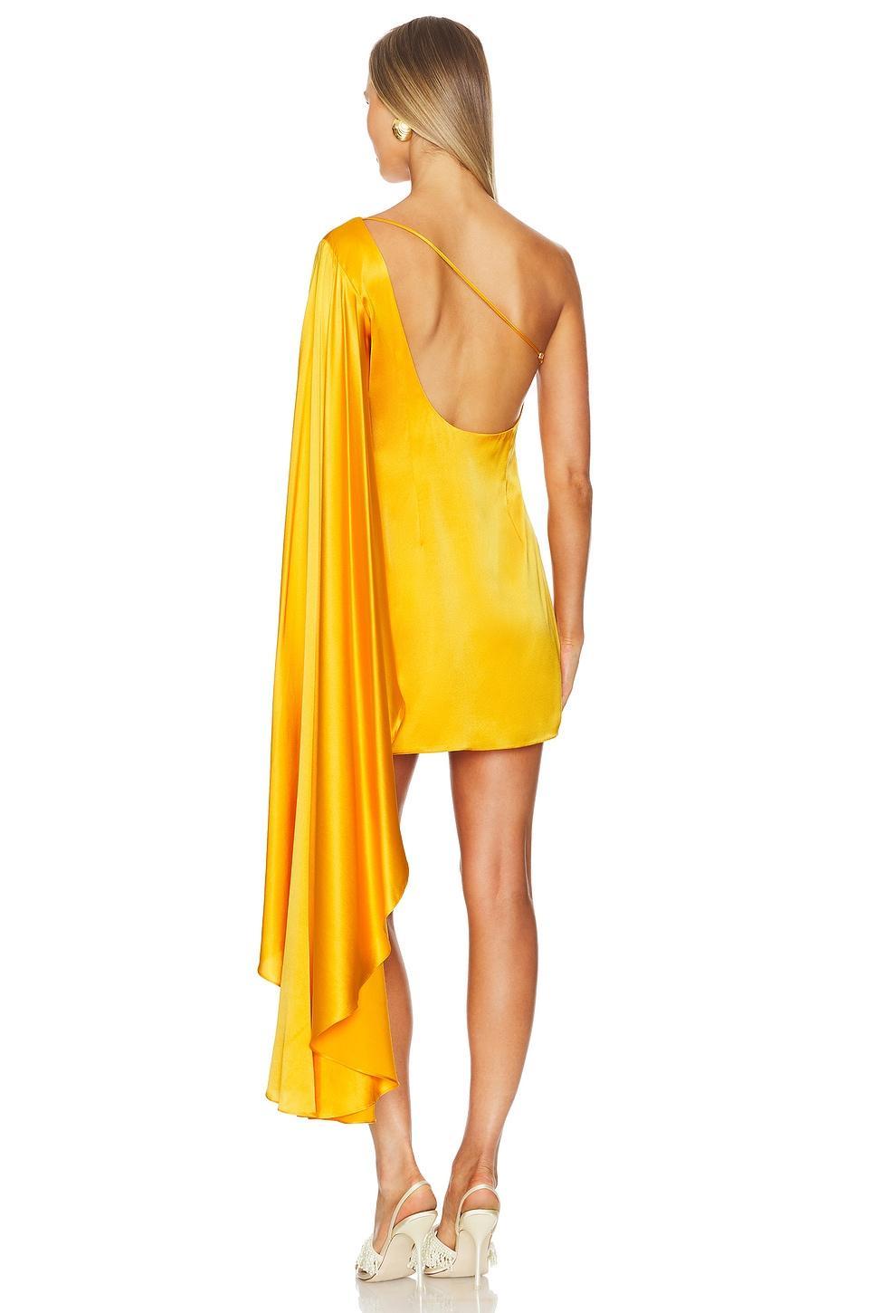 Enza Dress Cult Gaia Product Image