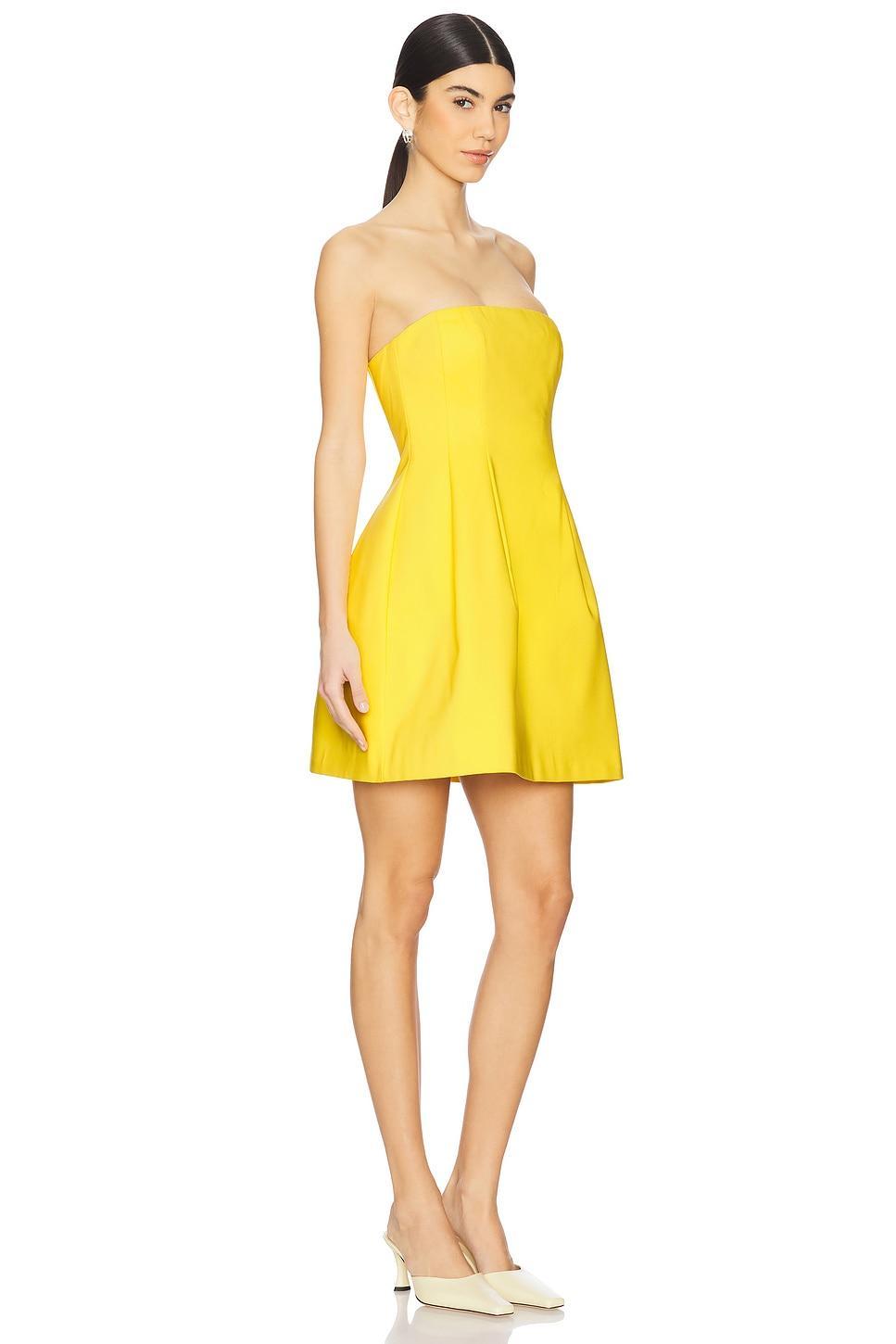 Arta Bustier Mini Dress SIMKHAI Product Image