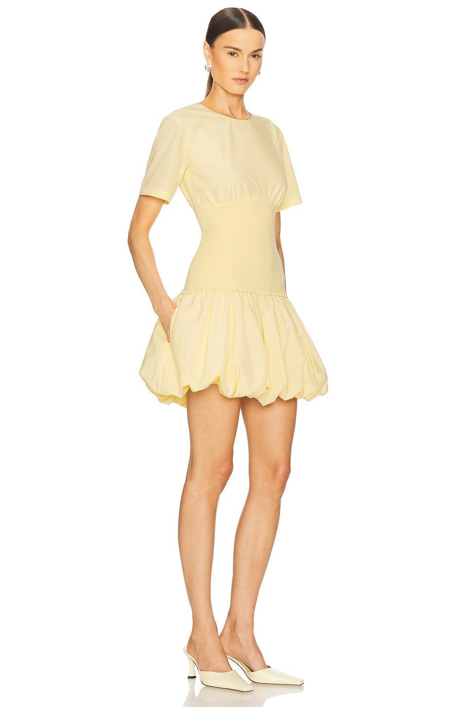 Libbie Short Sleeve Mini Dress SIMKHAI Product Image