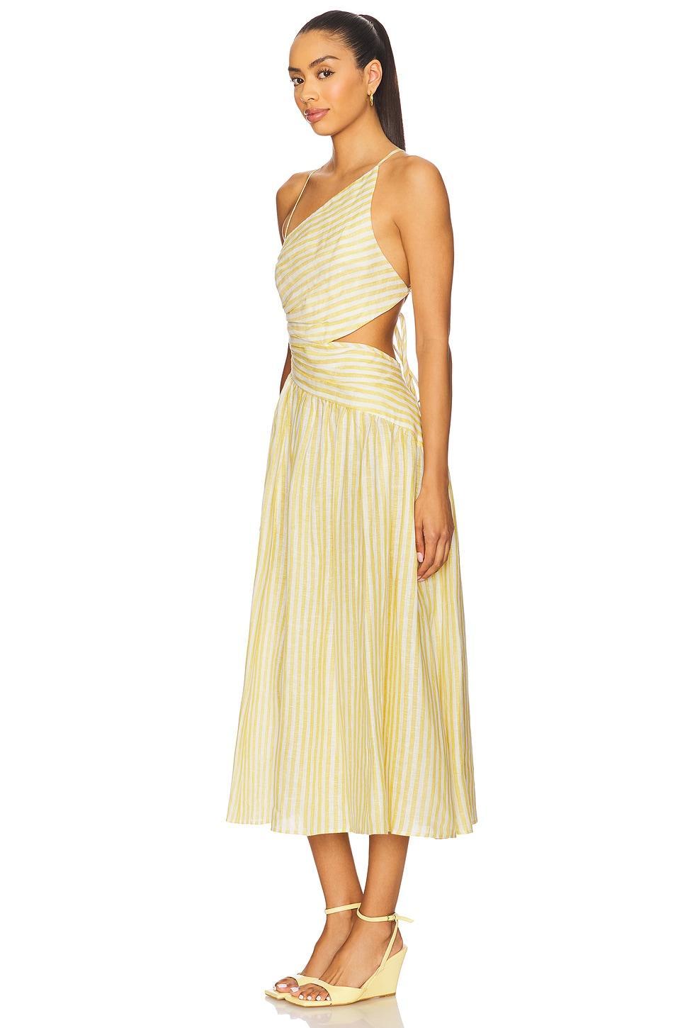 Cascadian Asymmetric Dress Zimmermann Product Image