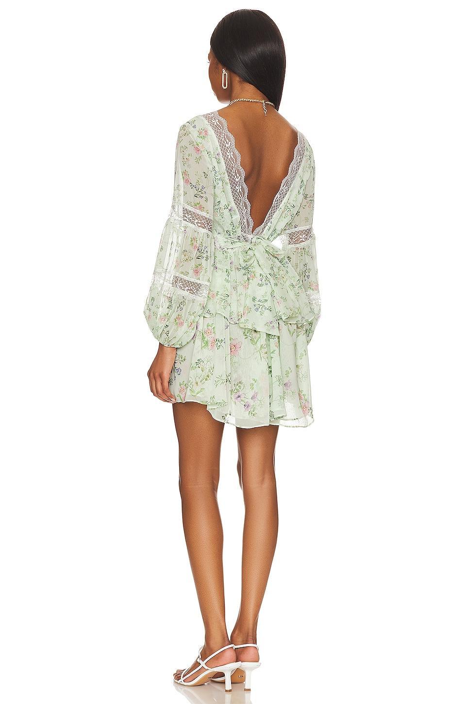 Sia Mini Dress MISA Los Angeles Product Image
