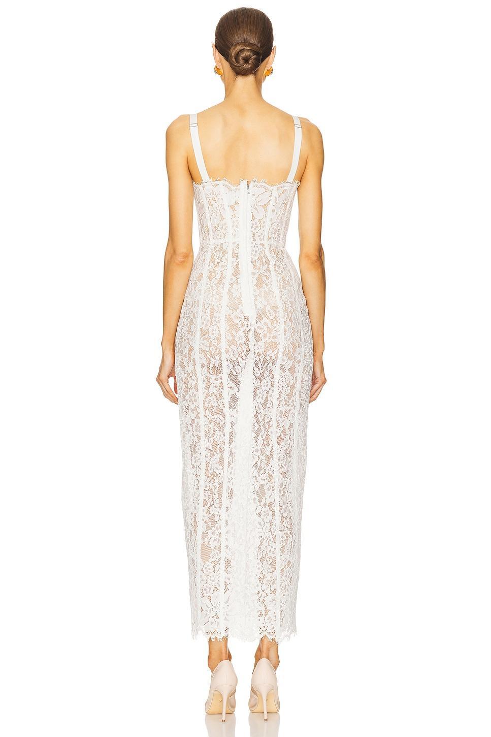 The Lace Column Dress Helsa Product Image