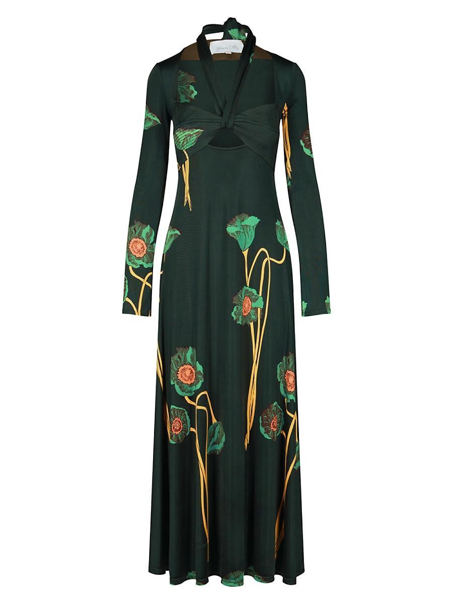 Womens Paisaje Lejano Maxi Dress Product Image