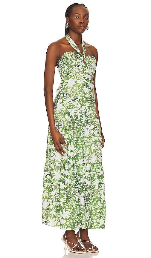Tania Print Dress Karina Grimaldi Product Image