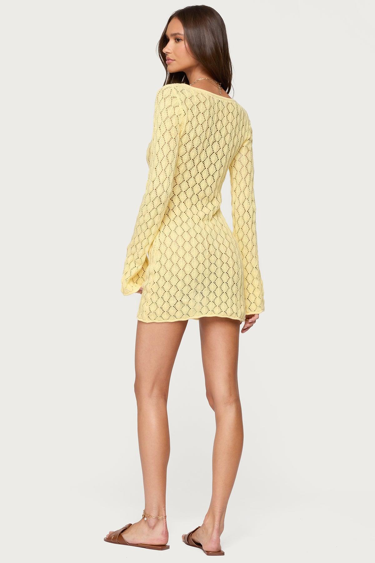 Brie Cut Out Crochet Mini Dress Product Image