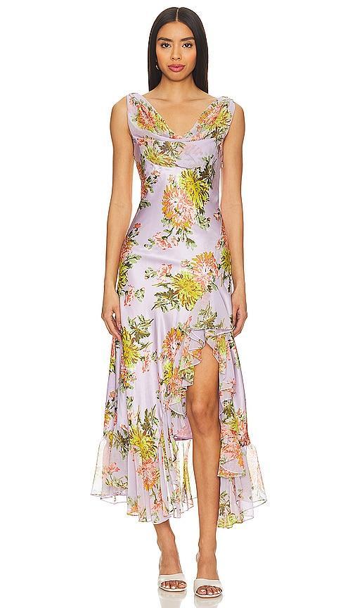 Chrysanthemum Ray Dress Product Image