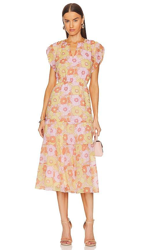 Leigh Midi Dress Steve Madden Product Image