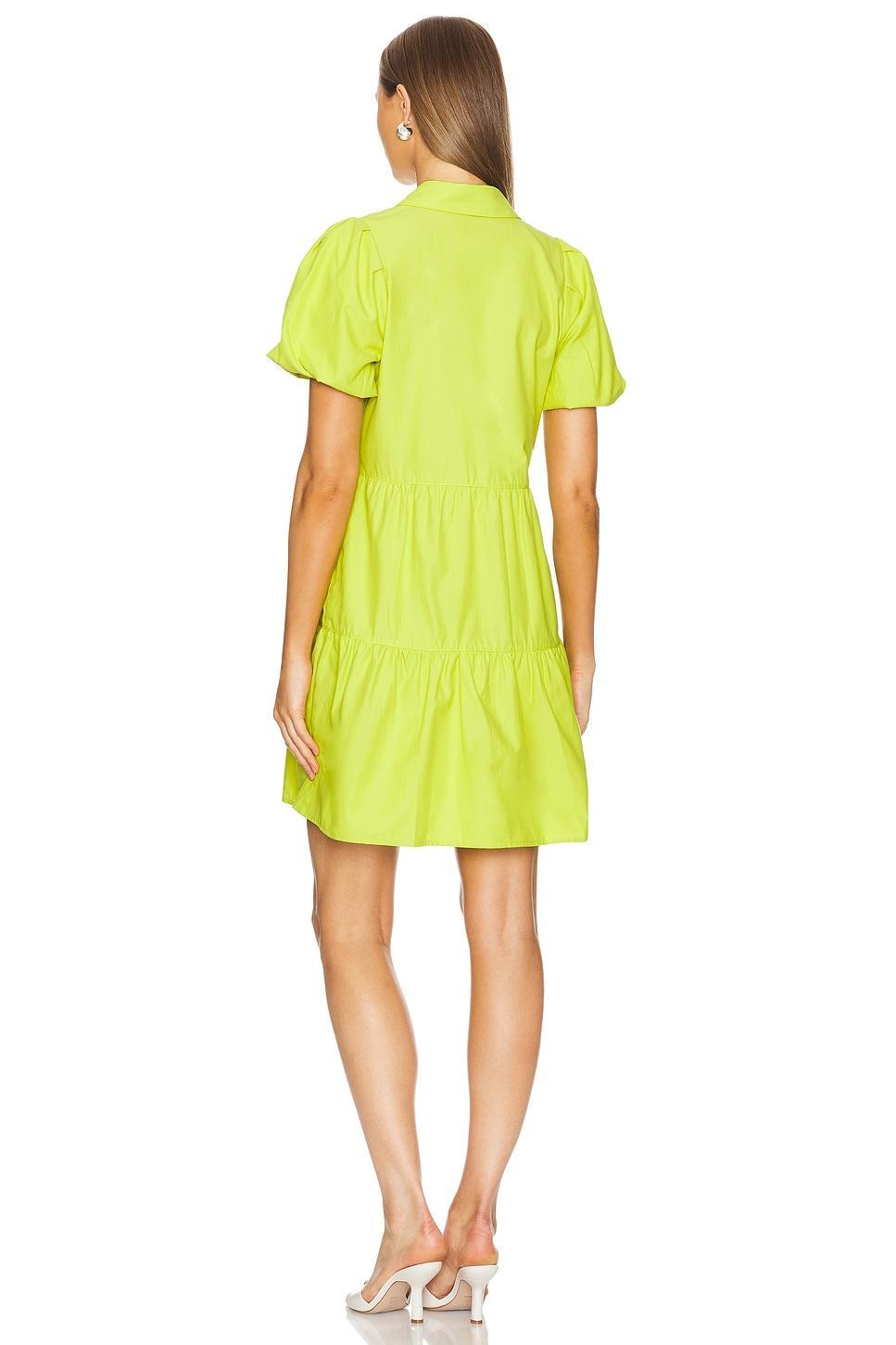 Havana Mini Dress Brochu Walker Product Image