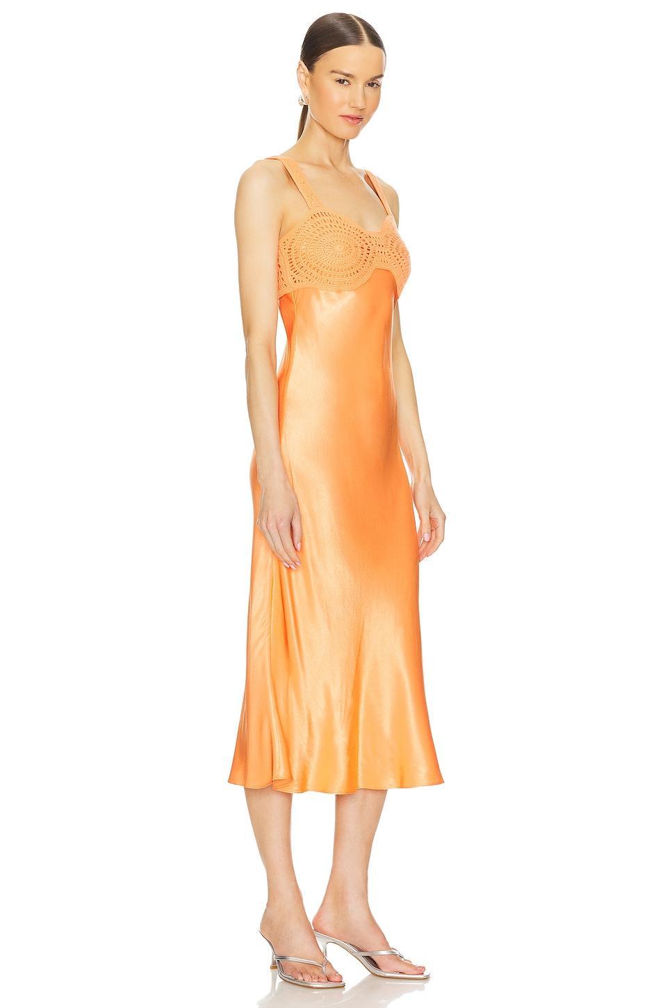 Laura Midi Dress Product Image