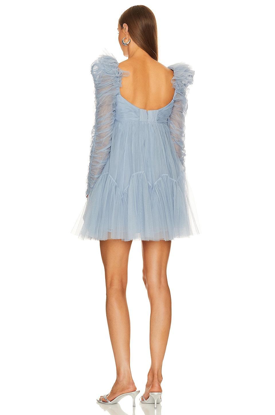 Tulle Ruched Mini Dress Product Image