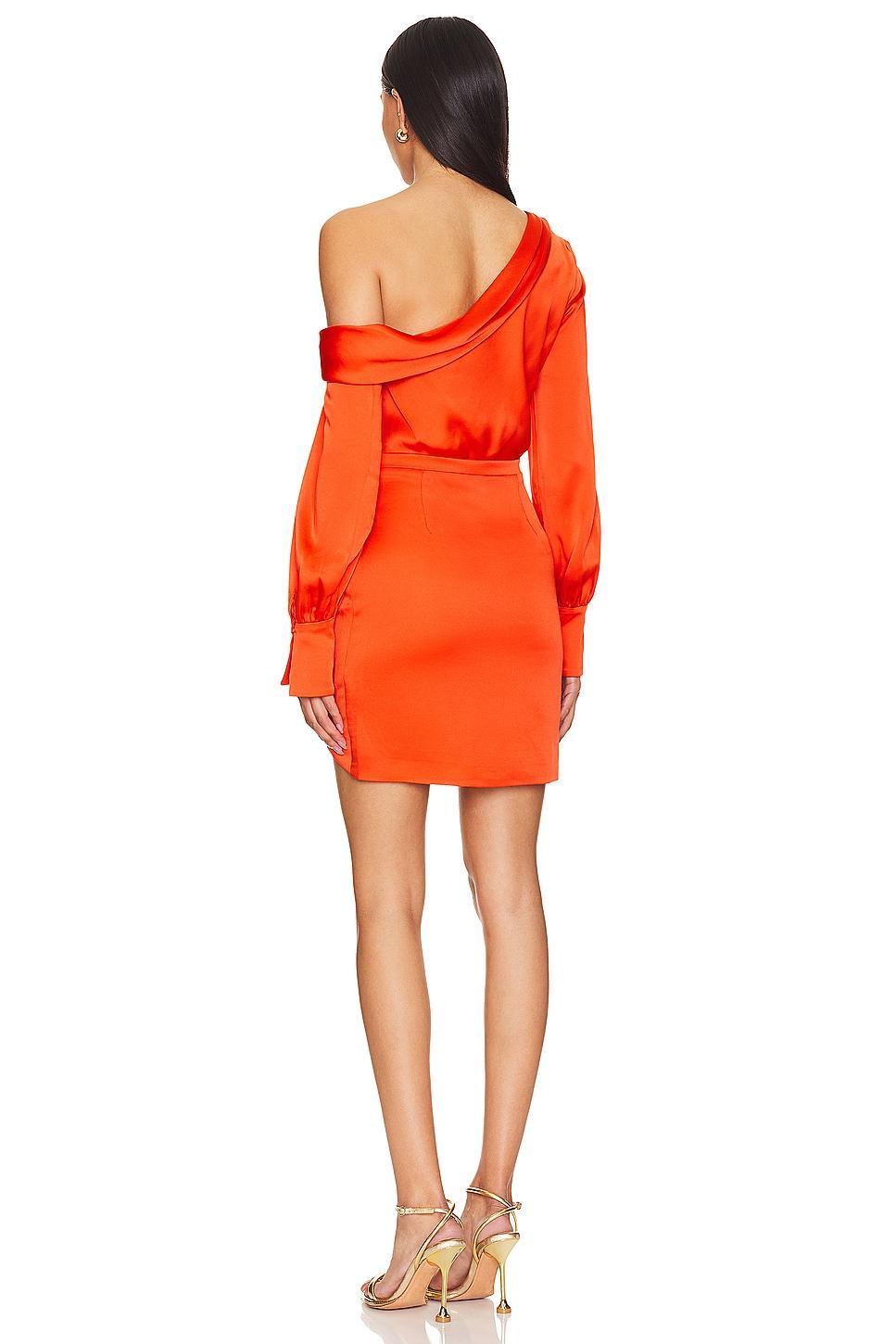 Cameron One Shoulder Mini Dress Product Image