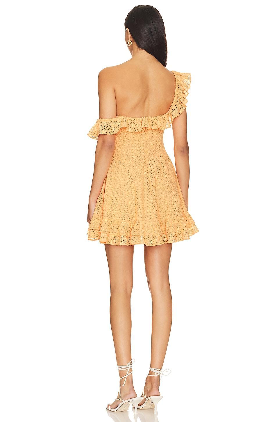 Cecilie Mini Dress Camila Coelho Product Image