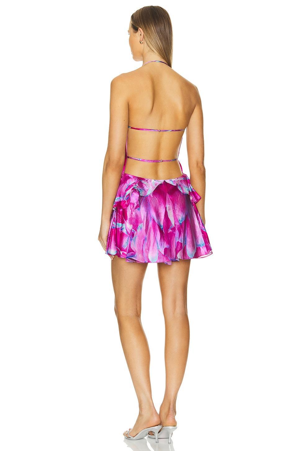Brietta Dress retrofete Product Image