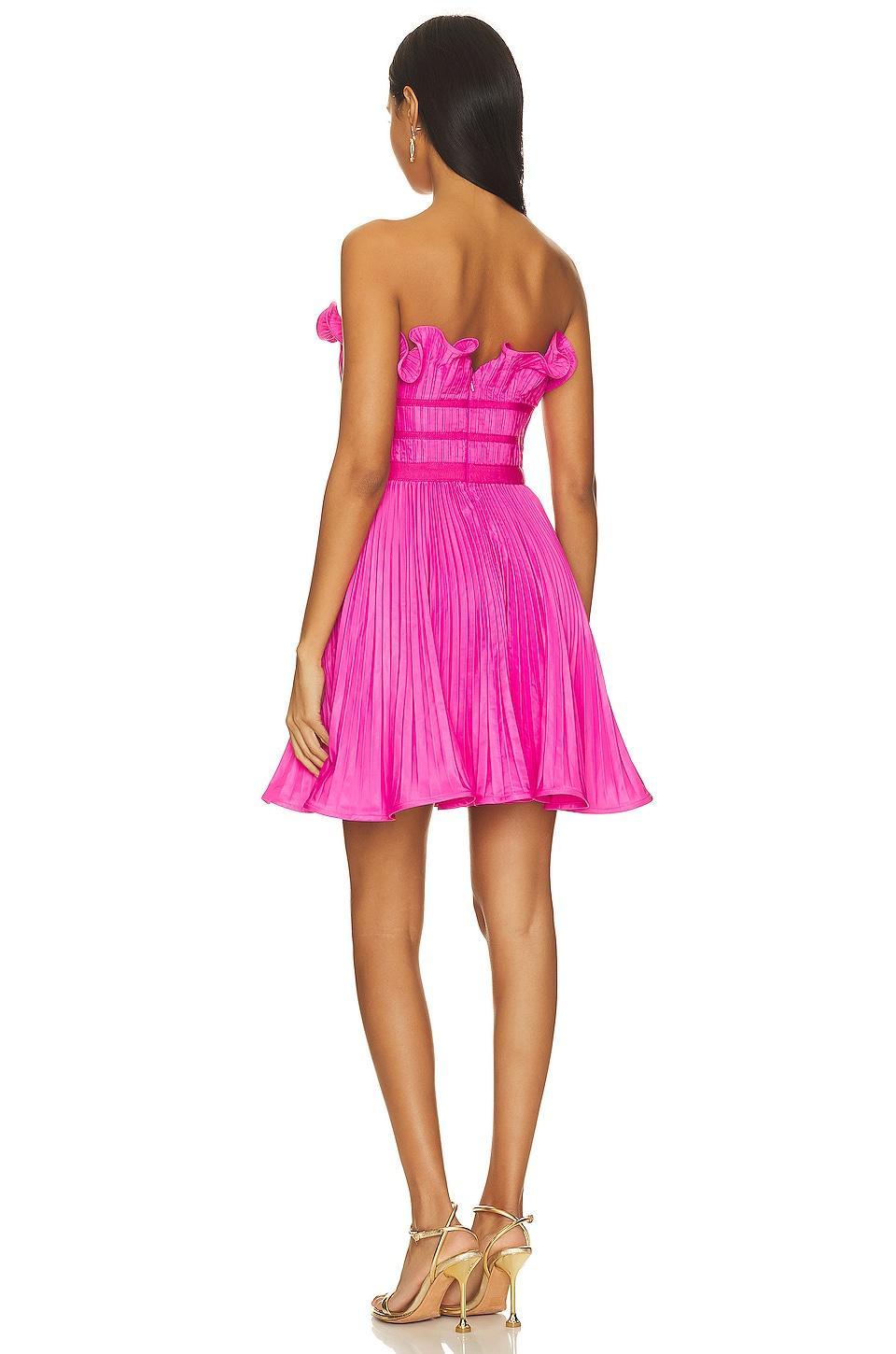 Lorena Strapless Mini Dress AMUR Product Image