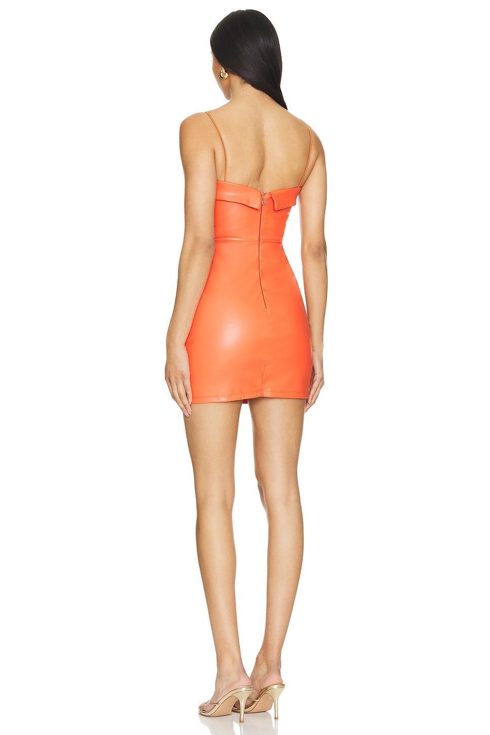 Cleo Mini Dress Nookie Product Image