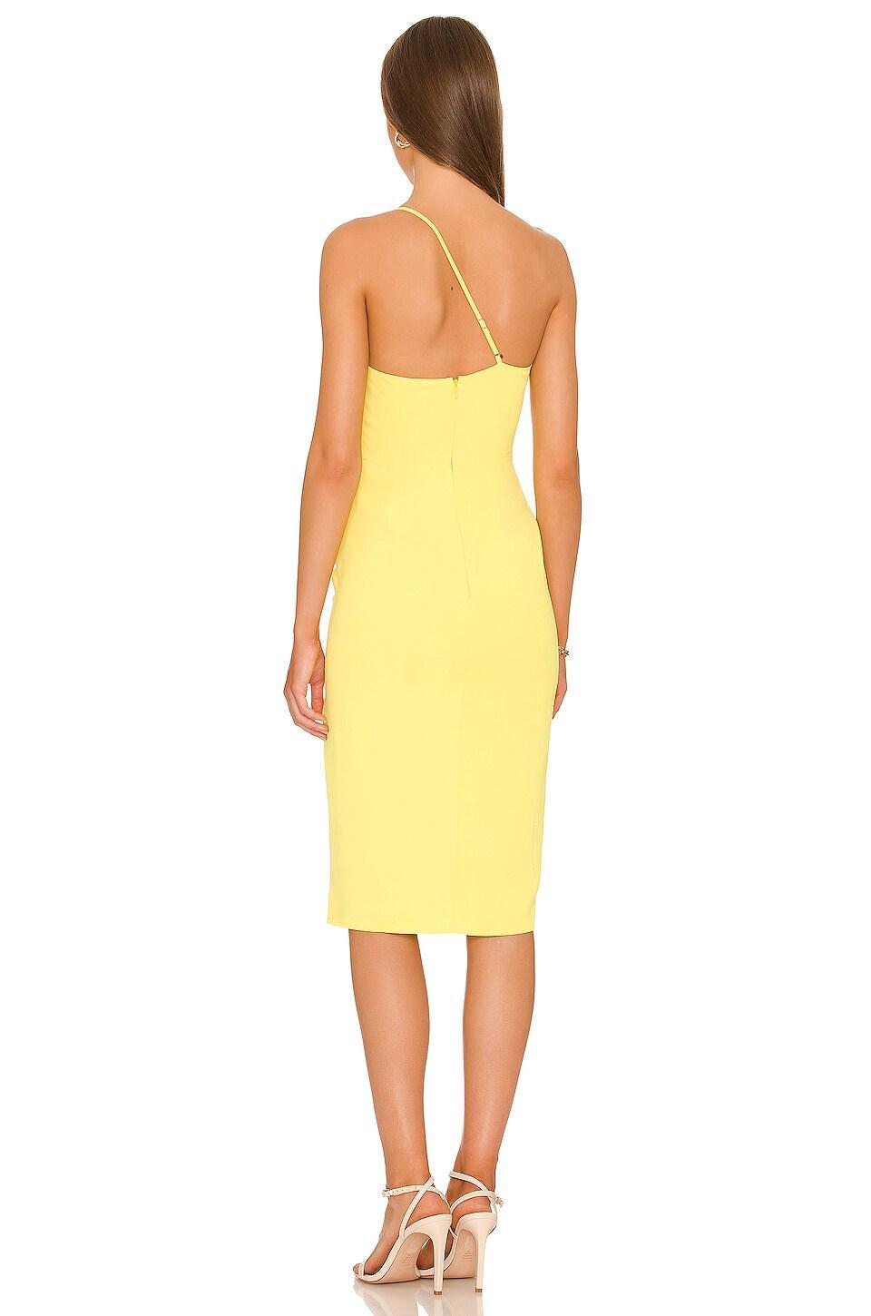 Lazo Midi Dress Lovers and Friends Product Image